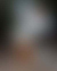 The Daily Stork • 619-972-3724 • San Diego, Ca • Boy Stork Yard Sign Rental