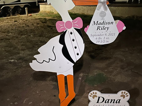 The Daily Stork ~ 619-972-3724 ~ Santee, Ca ~ Girl Stork Yard Sign ~ Dog Bone Sign