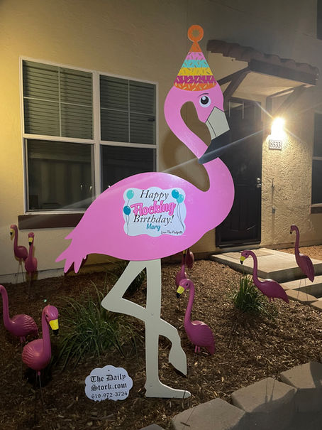 The Daily Stork ~ 619-972-4724 ~ Serra Mesa Surprise Birthday Flamingo