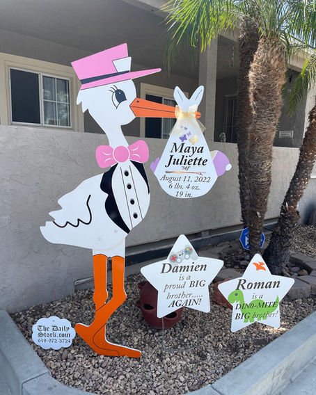 The Daily Stork • 619-972-3724 • San Diego, Ca • Girl Stork Yard Sign Rental