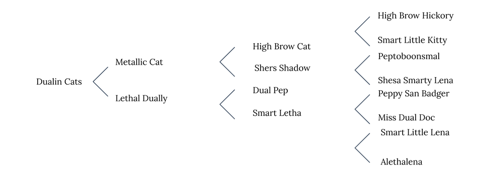 Subheading (1)_edited.png