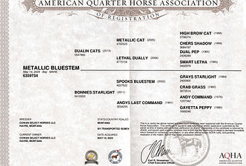 Screenshot 2025-10-24 at 12.41_edited.jpg