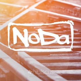 NODA arts district Charlotte NC logo design. Pike Properties Custom Home Builder Charlotte NC, Logo by Hibiscus Brand Managment
