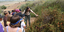 Nature ed w youth.jpg
