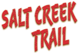 Salt Creek Logo-Header - png.png