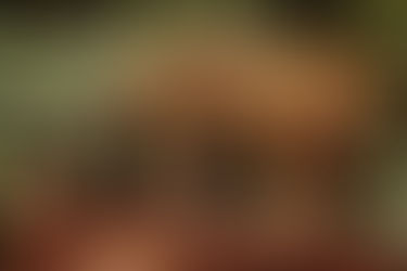 Top 10 biggest cats in the World (first five)