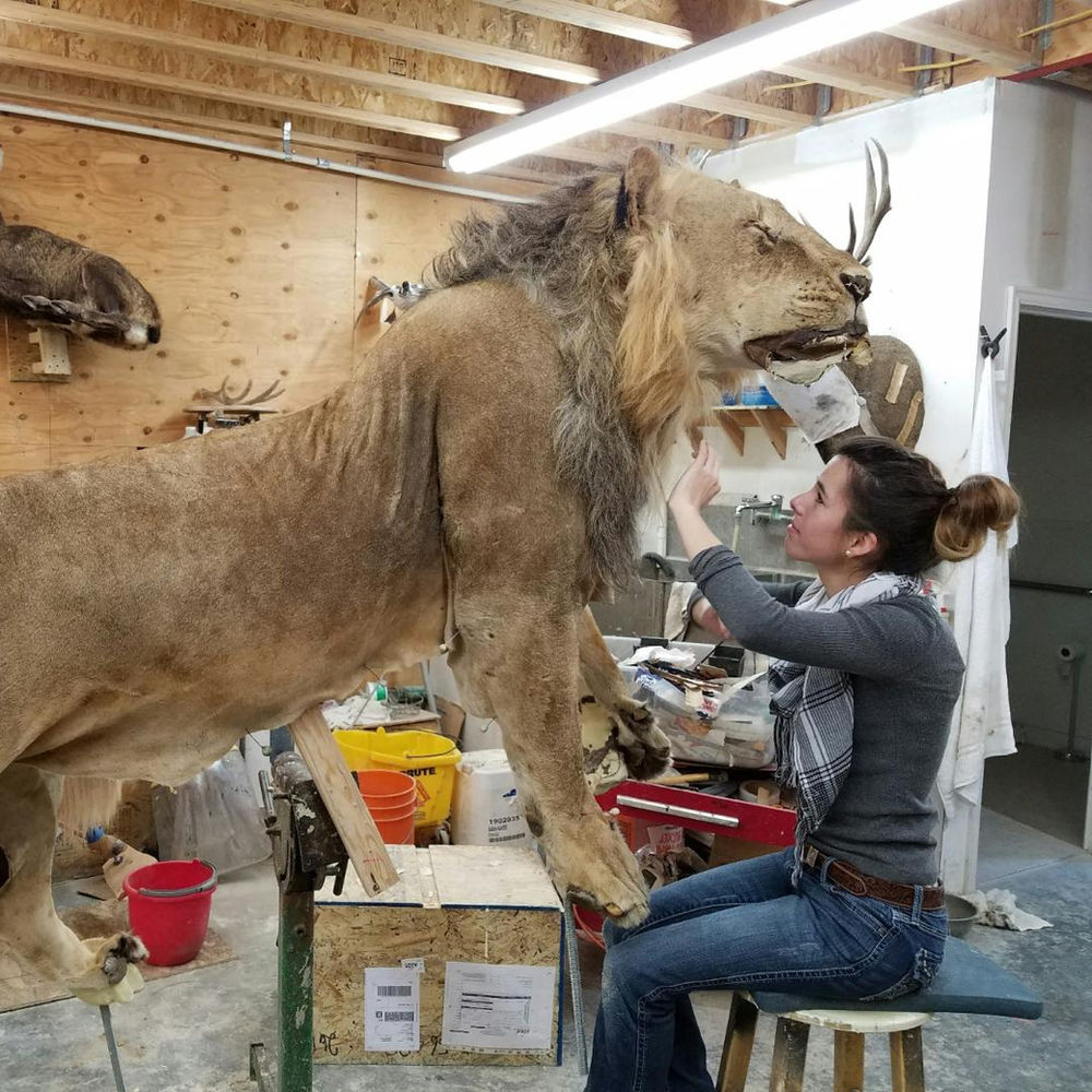 Women in Taxidermy Interview with Michelle the Tiny Taxidermist