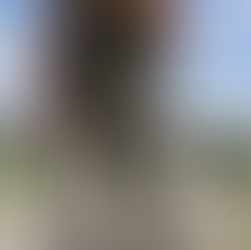 Ridge Patrol Ridge Runner 2.0 Pants Front Design