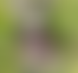 Ridge Runner 2.0 Gaiter Hook