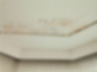 IMG_20220127_152550.jpg