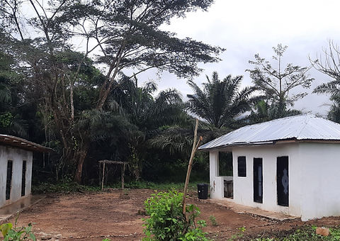 cane rat farm building