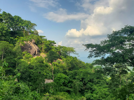 Listening In: SMACON Partners With Rangers to Hear Nature