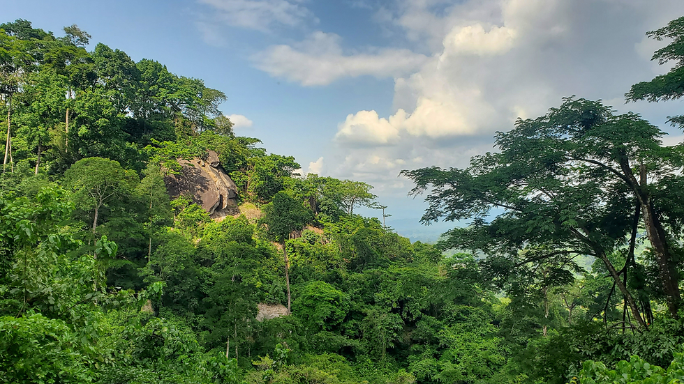 Listening In: SMACON Partners With Rangers to Hear Nature