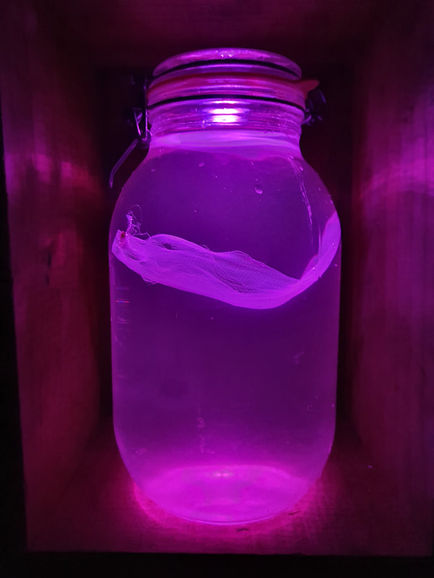 20190929-120216_orig