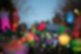 jamie_lees_photography-98.jpg