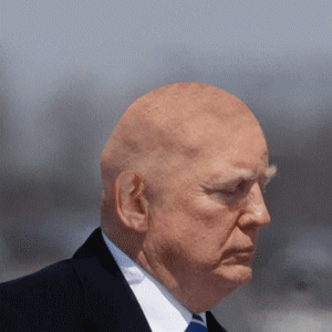 trumphair2.gif
