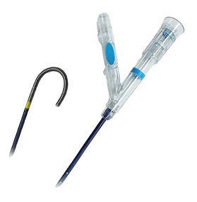 Reborn Medical FYS Ureteral Bendable Access Sheath