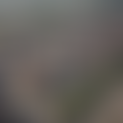 Revitalize Detroit: Greenwood District Equity's Urban Development Projects