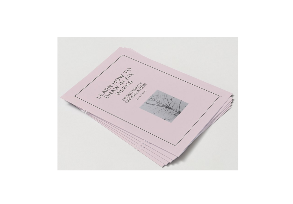 Thumbnail: Learn How To Draw in Six Weeks - A5 Booklet