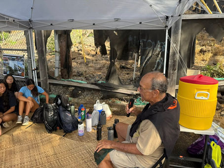 Kaiser High School Juniors Visit Wailupe - September 2025