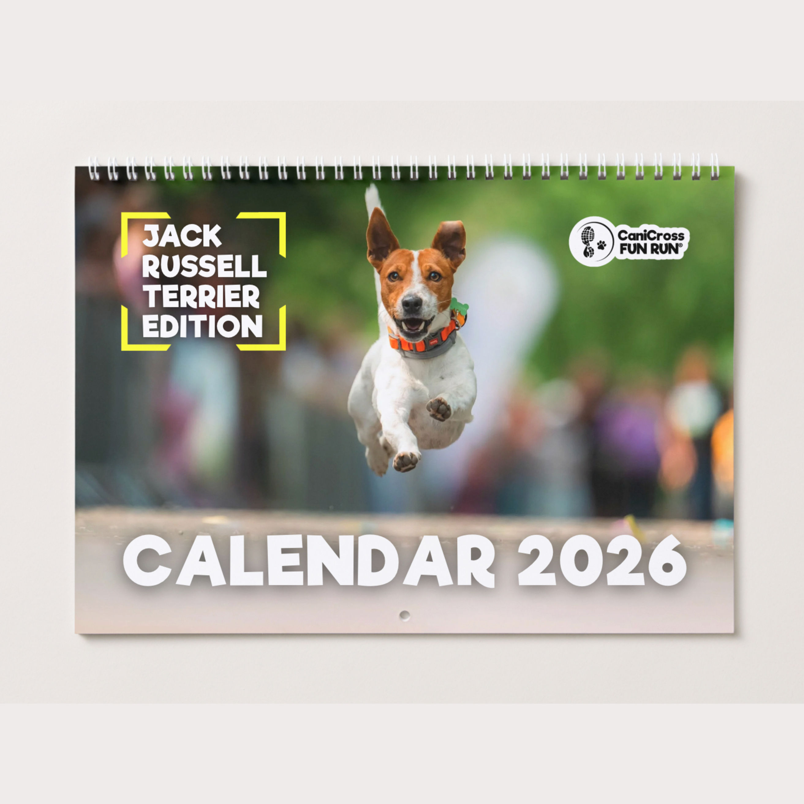 Calendar de Colecție 2026 "Jack Russell Terrier"