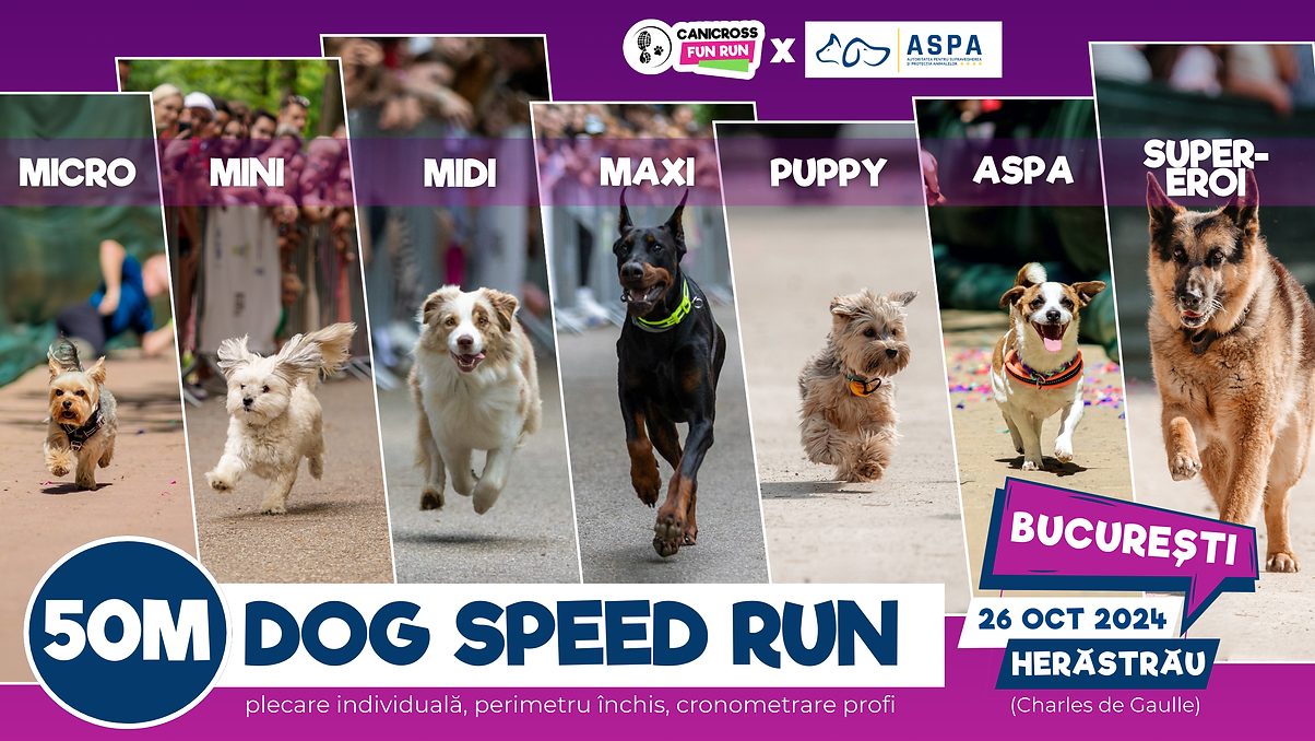 Speed Run Bucuresti - 26 oct 2024.png