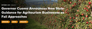 NYS Covid-19 Fall Business Guidelines Announced