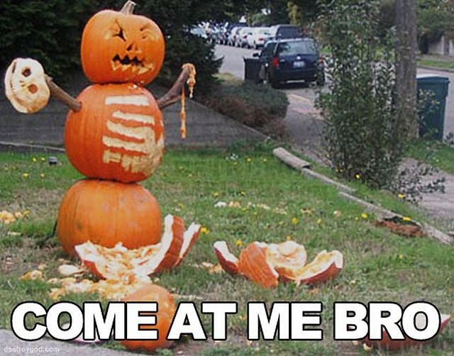 the_most_hilarious_come_at_me_bro_memes_32