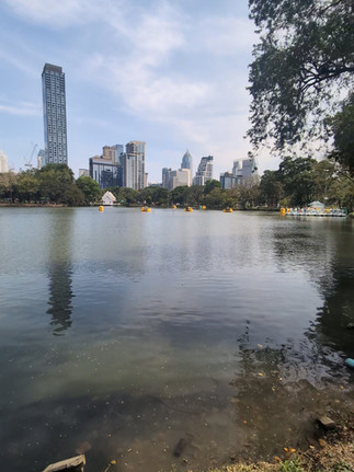 Lumpini Park: Bonus points if you can spot the lizard