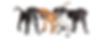 shutterstock_451490047.jpg