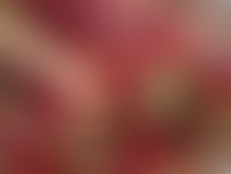 Crimson Red Rhubarb