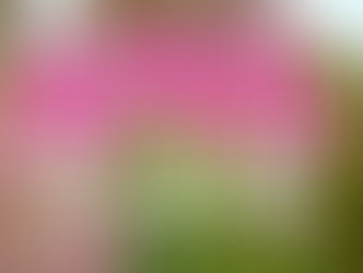 April to-do list for your yard