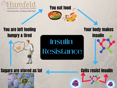 The Effects of Insulin Resistance