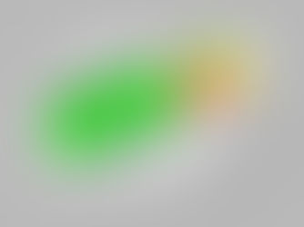 Natural (Whole Food) versus Synthetic Supplements