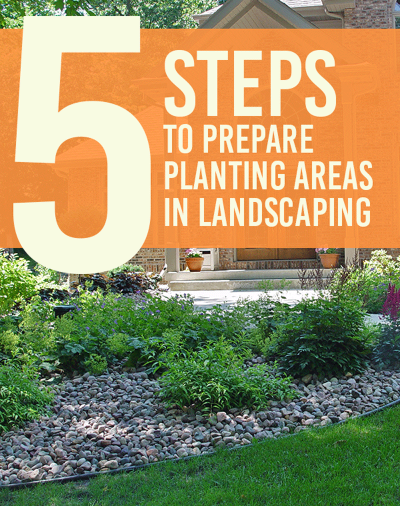 5 Steps to Prepare Planting Areas in Landscaping