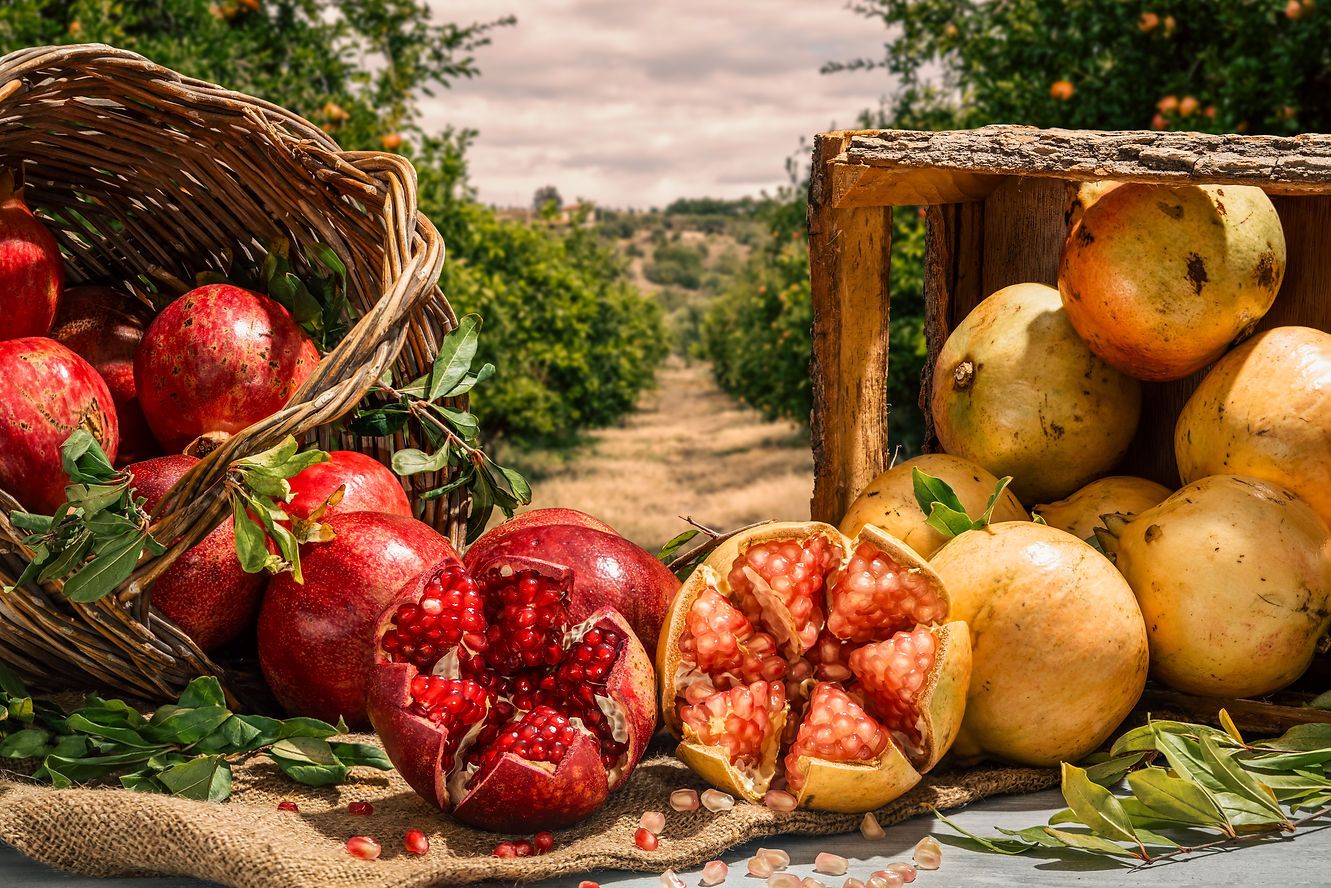 Melograni in cesto e scatola, sullo sfondo paesaggio agricolo.