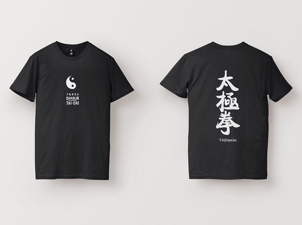 Thumbnail: Tai Chi Quan T-Shirts