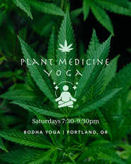 Buddha and cannabis ganja bud