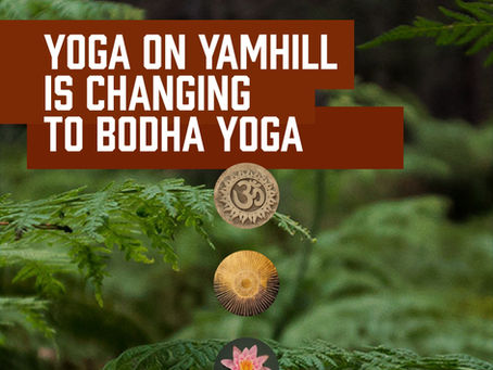 Yoga on Yamhill is changing to Bodha Yoga
