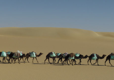 Vortragsänderung im Februar