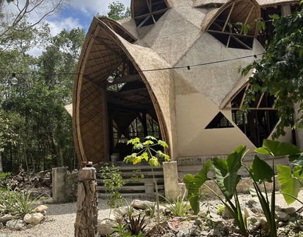 Detail of a bagasse dome at IK Muluk with a palm tree beside it, Tulum jungle, Mexico