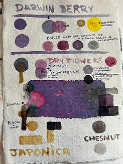 Natural pigments.jpg