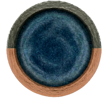 Cartoon schematic comparing Syncles to liposomes.