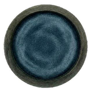 A schematic representation of Syncles highlight its membrane-bound structure encapsulating an inner aqueous core.
