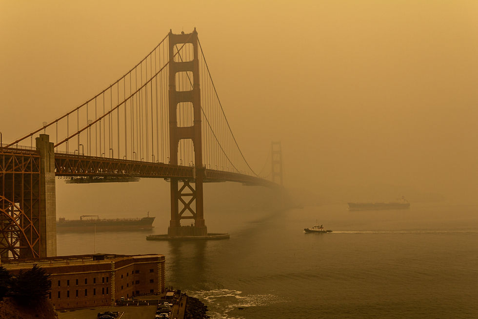 SF.jpg