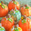 Thumbnail: Medium Pumpkin Jar