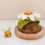 Thumbnail: Happy Little Bee Terrarium