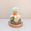 Thumbnail: Happy Little Bee Terrarium