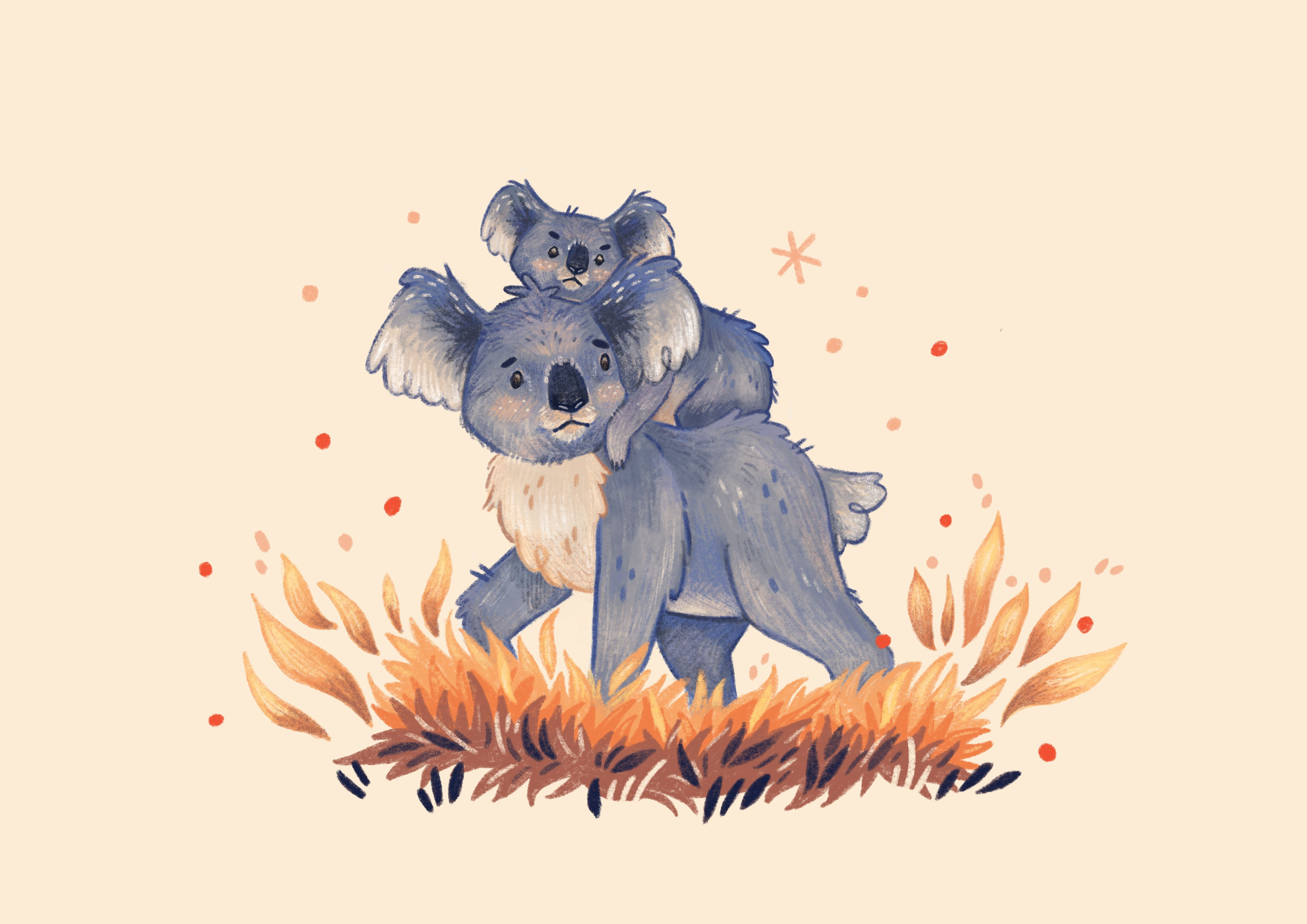 Australia Fire Relief Koala Print