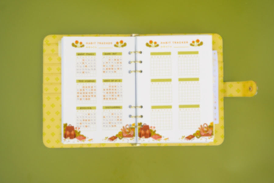 Habit Tracker Inserts